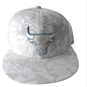 Chicago Bulls BMO  Artist Hat Series